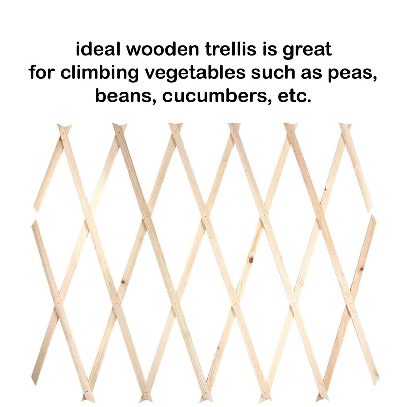 Wooden Trellis Garden wall Trellis Expanding Panels, Garden Fence Trellis for Climbing Plants & Flowers, Wall Trellis Fence Panels, Wall Decor Hanging Frame for Indoor Outdoor 6ft x 1ft