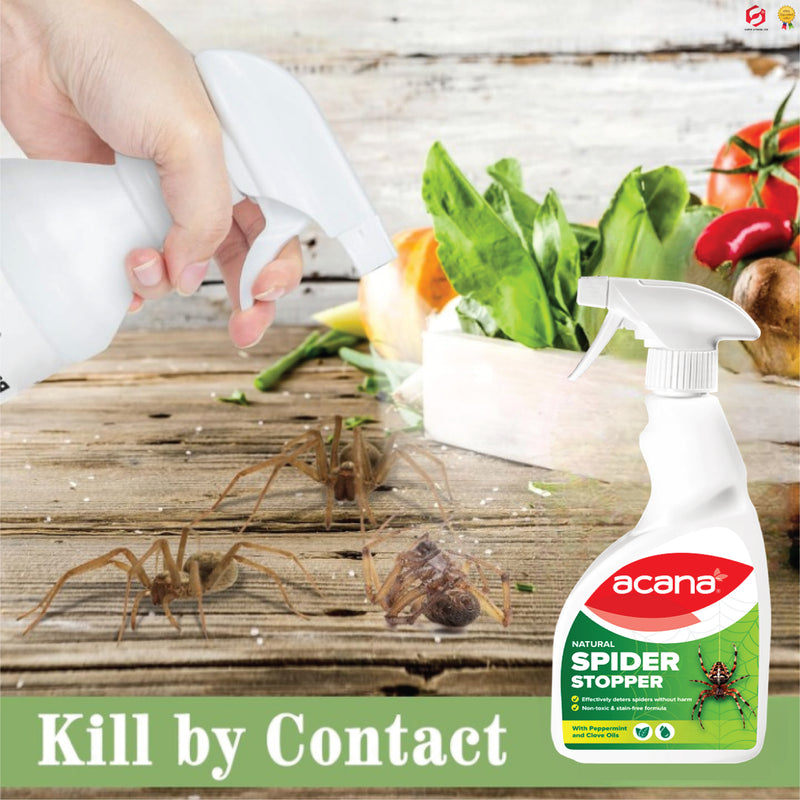 Acana Natural Spider Stopper 500ml Spray | Long Lasting up to 12 Weeks | Established British Deterrent Formula | Use on Any Surface - Will not Stain | No Dead Spiders - no Spiders at All!