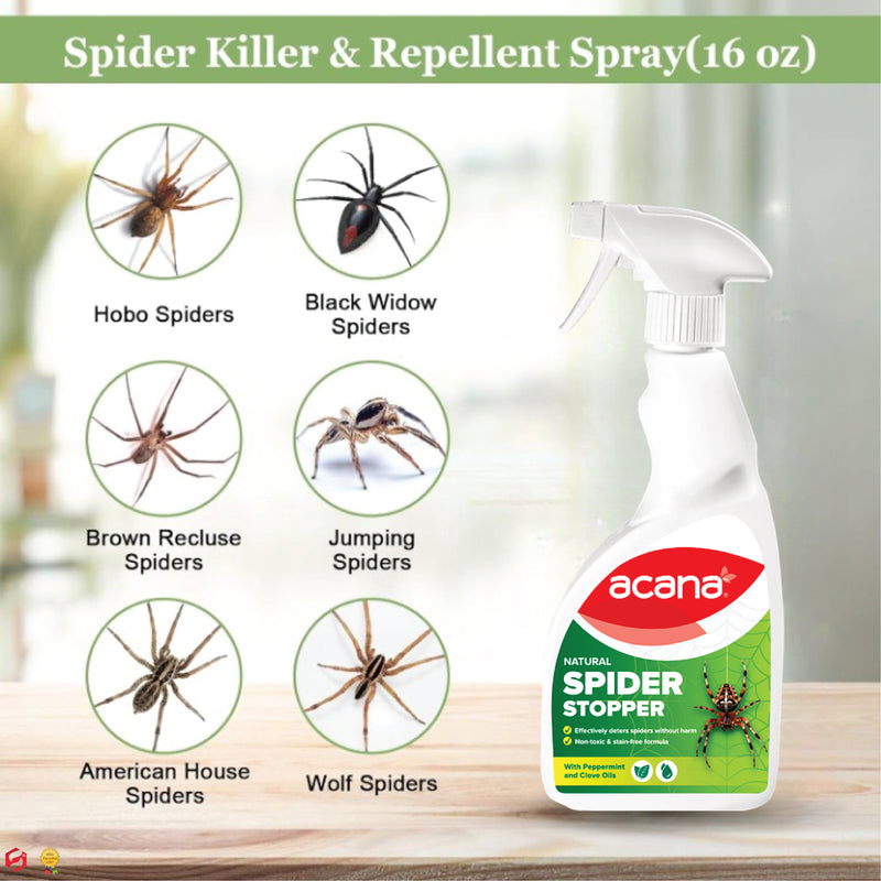 Acana Natural Spider Stopper 500ml Spray | Long Lasting up to 12 Weeks | Established British Deterrent Formula | Use on Any Surface - Will not Stain | No Dead Spiders - no Spiders at All!