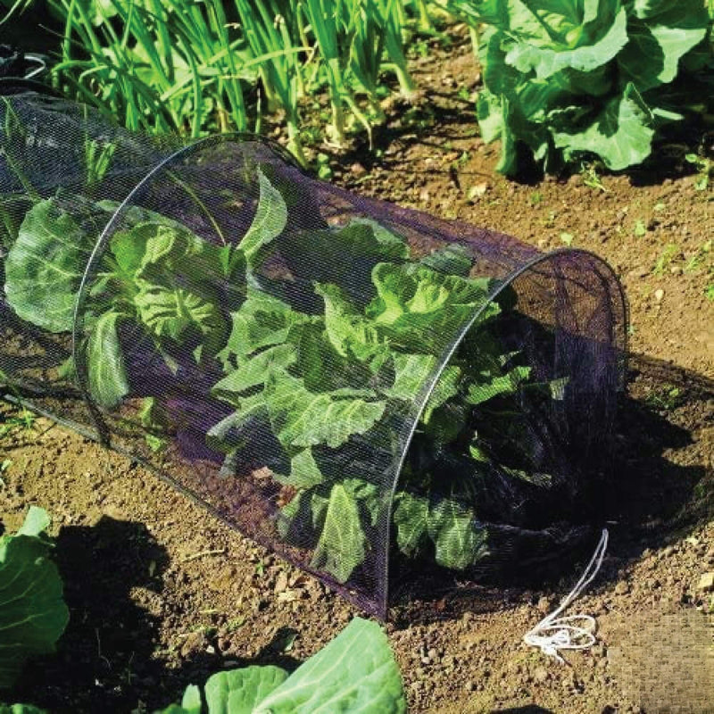 Garden Net Grow Tunnel, Fleece Cloche Plant Covers for Protecting Plants, Fruits, Vegetable from Insects, Birds, Pests - Dimension: 3m x 45cm x 45cm