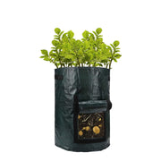 Black grow bag with plants