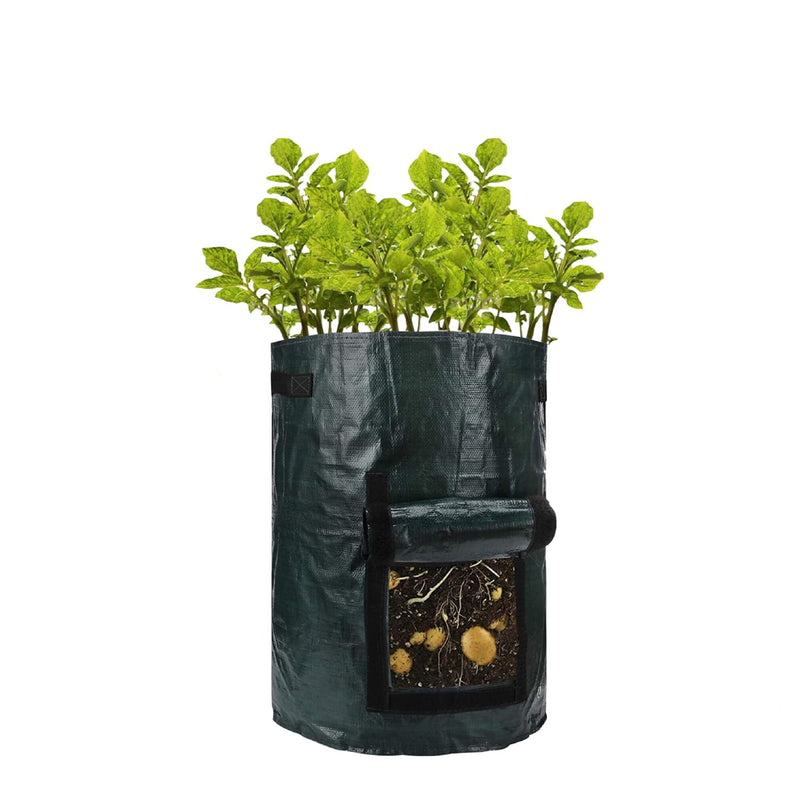 Black grow bag with plants